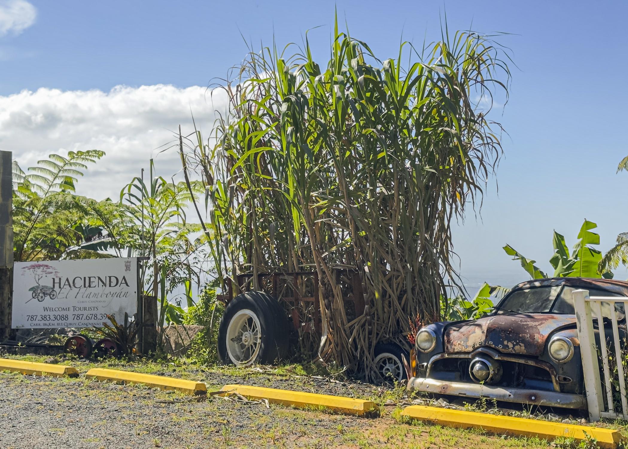 Hacienda(img-1)